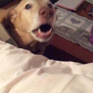 Meet your Posher, Andrea